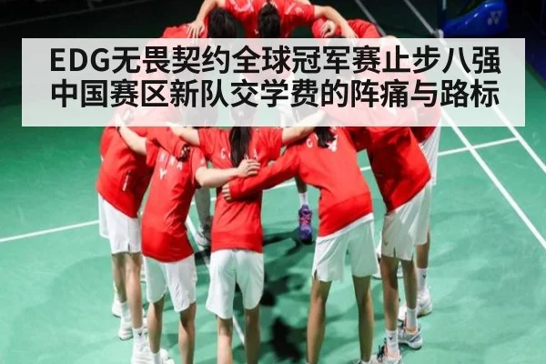 EDG无畏契约全球冠军赛止步八强 中国赛区新队交学费的阵痛与路标